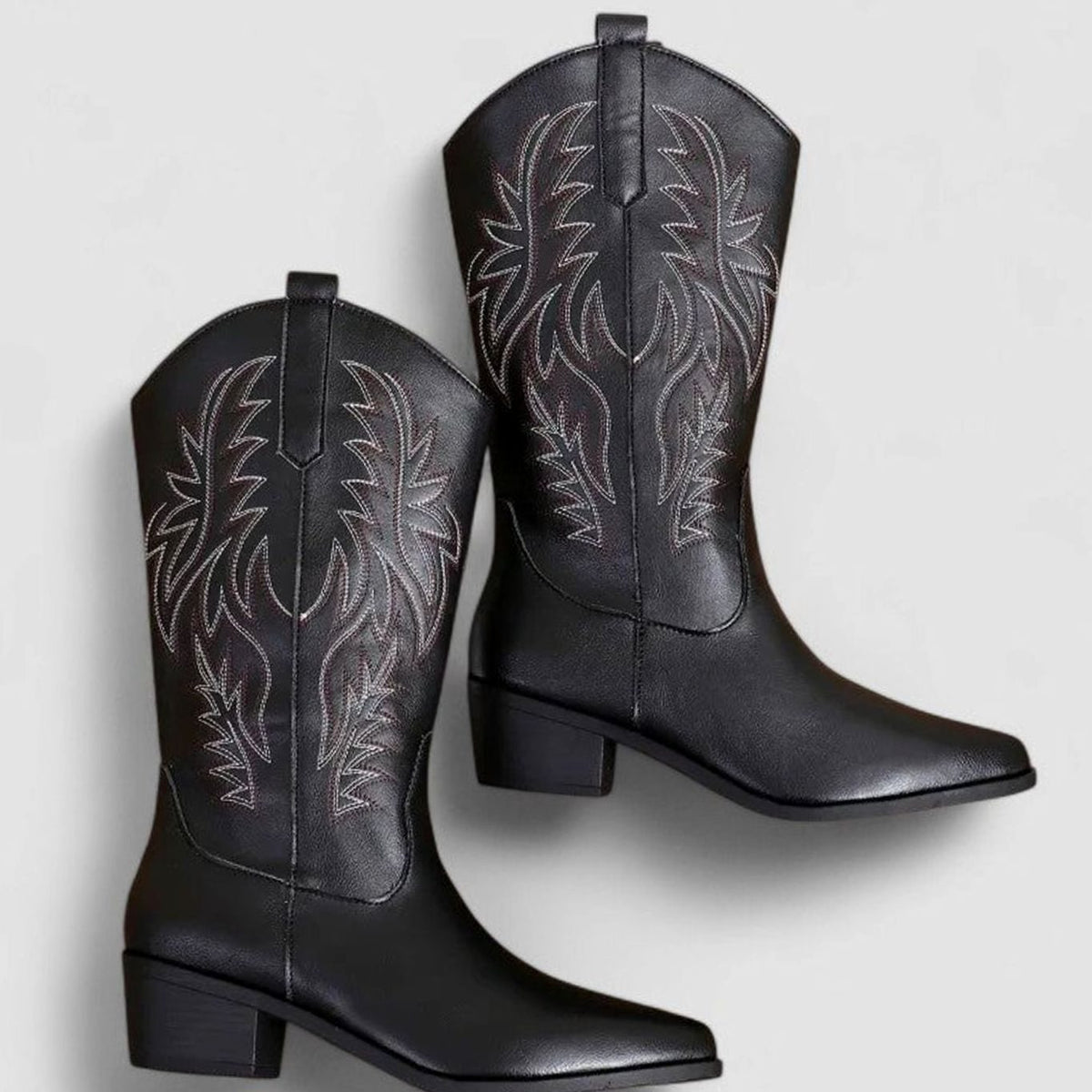 Women's embroidered Western boots by Homixa featuring a block heel and cushioned insole, showcasing detailed embroidery and stylish design.