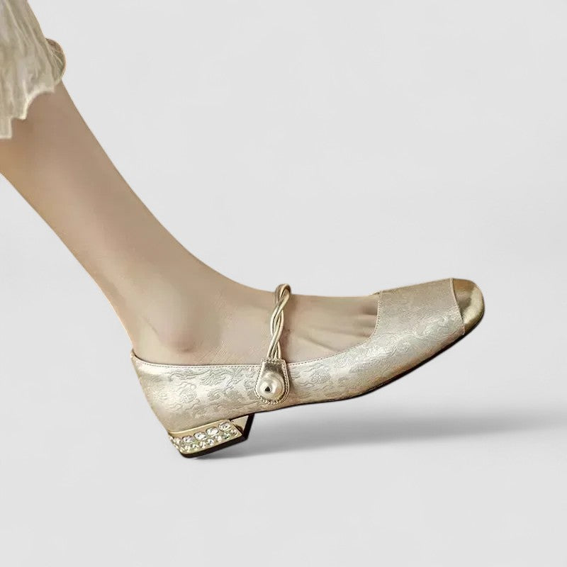 Homixa low heel Mary Jane shoes for women with rounded toe and classic strap, perfect for casual and formal wear.