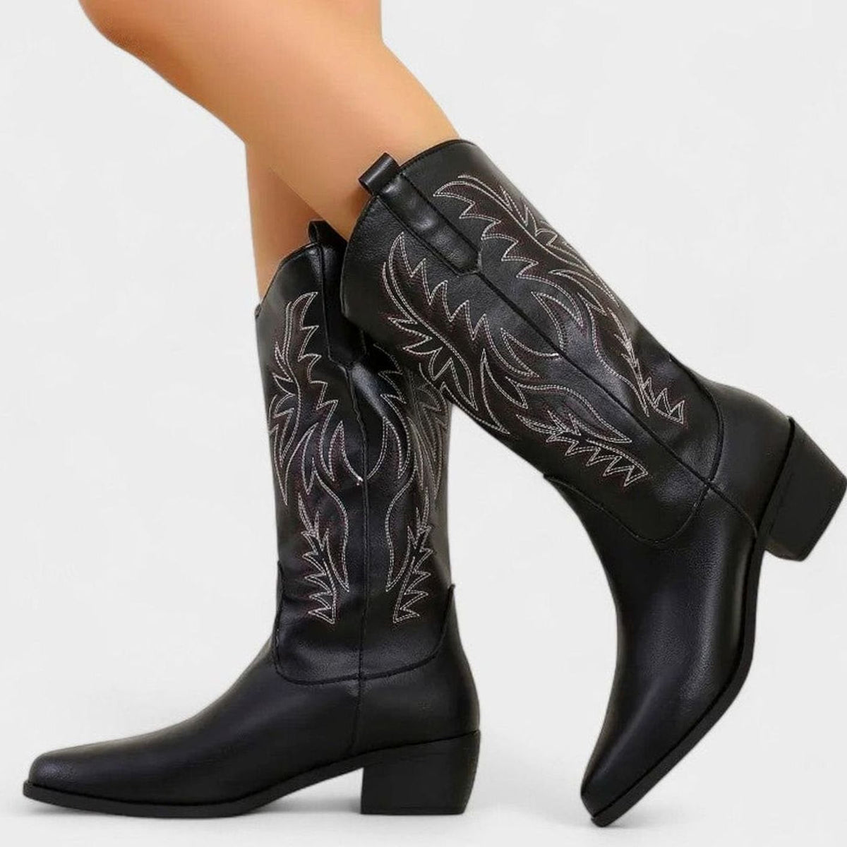 Women's embroidered Western boots by Homixa featuring a block heel and cushioned insole, showcasing intricate embroidery and stylish design.