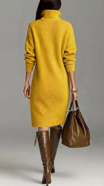 Homixa women's relaxed-fit high-neck midi dress with pockets and button details, stylish and comfortable for casual wear.